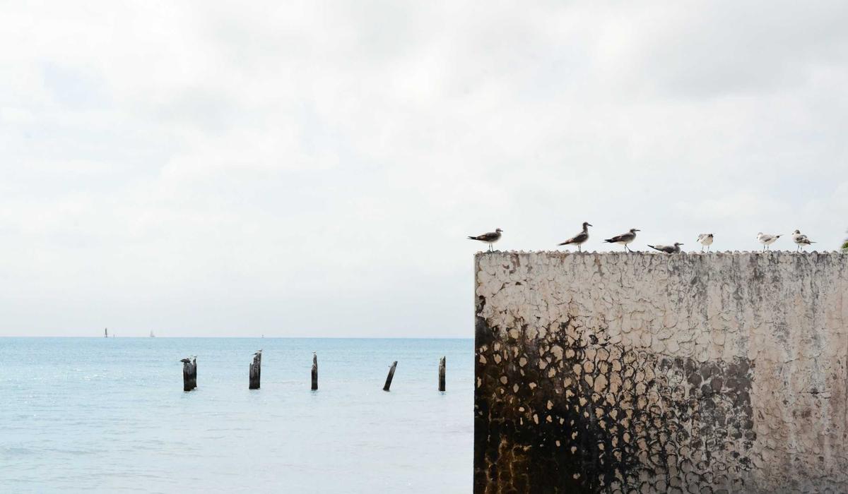 How to think clearly about saving time online